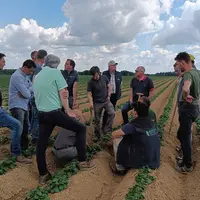 Des agriculteurs engagés dans le programme Covalo Hauts-de-France dans un champ de pommes de terre.