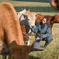 Pauline Garcia, comportementaliste animalière et éleveuse, au milieu de son troupeau de Salers et d’Aubrac dans le Cantal.