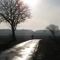 Promeneur seul sur une route de campagne entre deux champ et proche d'un arbre en hiver.
