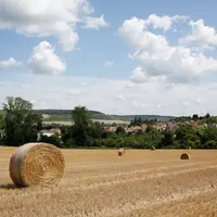 Paysage agricole en été dans la Marne