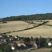 Champs et pâturages impactés par la sécheresse dans le Charolais début août 2026.