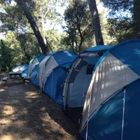 Tentes de plus de deux mètres alignées et sous des arbres.