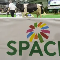 Logo du Space lors de l'édition 2025 à Rennes, lors de la présentation de vaches lors du concours sur le ring des bovins.