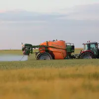 Pulvérisation d'un insecticide et d'un foncidide sur une parcelle de blé
