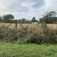 Parcelle agricole touchée par la sécheresse