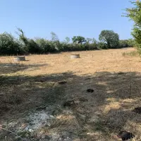 Prairie séchée et jaunie par les canicules et la sécheresse dans le Calvados en août 2026.