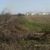 Haie arrachée en Normandie