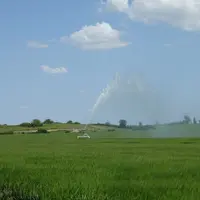 champ irrigué