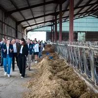 groupe de personnes visitant une étable