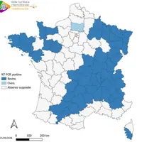 Carte de France des départements ayant détecté la présence du virus Shamonda-Europe par RT-PCR chez des bovins (bleu foncé) ou chez des ovins (bleu cl