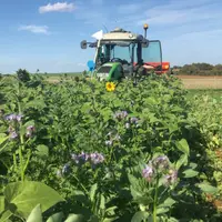 Couvert Biomax en octobre 2022 chez Loïc Bonnot, commune
de Lusans (25), membre du Club Agro Ecos. Il s’agissait d’une platefo