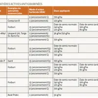 <em class="placeholder">Seine-et-Marne : 20 ans de réussite en TCS chez Christine et Sébastien Rousseau</em>