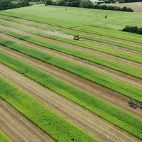 Photographie au drone de la parcelle en bandes de La Conillais. On y voit à la fois la moissonneuse-batteuse et le passage du