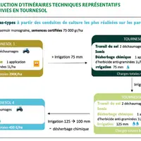 Figure 5 : construction d’itinéraires techniques représentatifs des parcelles suivies en tournesol.