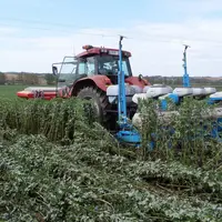 <em class="placeholder">Semis direct de maïs dans un couvert de féverole. </em>
