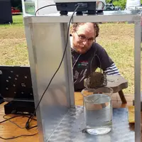 Slake test