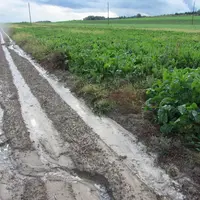 En quelques décennies, on aurait perdu plus de 50 % de la matière organique des sols alors même que toutes les propriétés et l