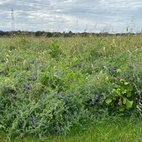 Couvert Biomax en Sologne