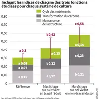 Indices de santé du sol (SHI - résultats étude Adaf en maraîchage