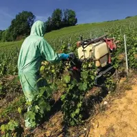 Le port des équipements 
de protection doit être contractualisé et inscrit dans le contrat de travail de l’employé.