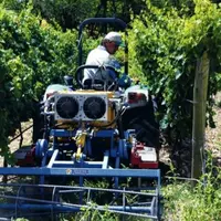 L’utilisation de nombreux engins mécaniques rend le bilan carbone 
de la viticulture bio peu performant 
du point de vue énergétique.