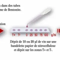 La détection par immunologie rend l'ajout de bentonite plus précis