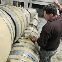 Le batonnage
facilite l'incorporation 
de Pure-Lees Longevity aux blancs en fin 
de fermentation-début d'élevage.