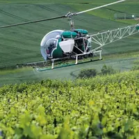 En 2013, seuls 2131 hectares de vignes ont été traités par hélicoptère.