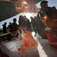 Pour un rosé de 
consommation rapide, un 
bouchon légèrement perméable semble le mieux adapté, offrant des vins plus ouverts d’un point de vue aroma