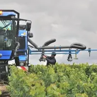 14 % des viticulteurs interrogés disent ne faire aucun réglage de pulvérisateur.