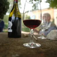 La dégustation des 16 échantillons de vin obtenus après quatre mois de conservation en demi bouteille a permis de classer les vins en deux catégories.