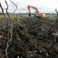 L'association générale de la prodcution viticole estime qu'il est impératif de satisfaire dès cette année la totlaité des demandes d'arrachage.