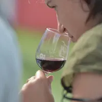 Différents projets de loi pourraient venir affecter la consommation de vin en 2013.