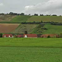 La commune de Laines-aux-bois pourrait rejoindre l’aire de délimitation de l’appellation champagne.