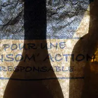 DE GRANDS OPÉRATEURS capables de fournir des volumes conséquents arrivent aujourd’hui sur le marché du vin bio. Les “ puristes ” de la bio craignent q