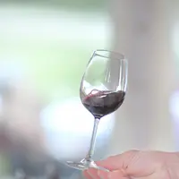 Les colles végétales s'avèrent efficaces pour réduire l'astringence des vins rouges. La filtrabilité est quant à elle meilleure avec les colles animal
