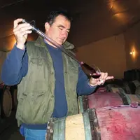 Michel Gendrier, président de la Commission bio des Vignerons indépendants.