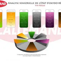 Ces descripteurs ont été définis de façon consensuelle lors de réunions de travail entre des professionnels du Sud-Ouest et du Languedoc et les animat