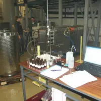 Les vins ayant été diminués de l'acide malique par la technique soustractive ont présenté un profil plus amylique, moins complexe, finalement plus acc