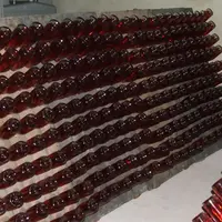 La Champagne mettra sur le marché l'équivalent de 305 millions de bouteilles issues de la campagne 2013.