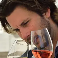 Les millenials, jeunes consommateurs américains, sont de plus en plus éduqués au vin.