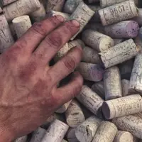 Les bouchons en liège sont recyclables à 100% et peuvent notamment être transformés en matériaux isolants.