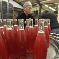 Champagne rosé