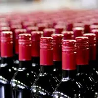 La première partie de la campagne 2009-2010 est marquée par des reards sur les volumes et un maintien, voire une baisse des prix.
