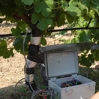 Le modèle prédictif de l’état hydrique des vignes, sur lequel planchent Montpellier SupAgro et l’Inra de Pech Rouge, permettra d'extrapoler une mesure