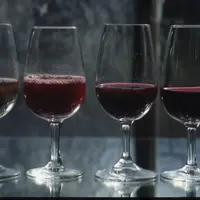 Les essais ont permis de déterminer à quelle dose l’emploi de tanin influence la couleur du vin en fonction de l’origine botanique des tanins et de l’