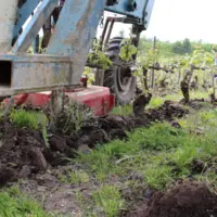 Travail du sol en vigne