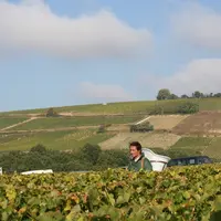 récolte