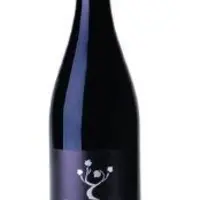 Les consommateurs enquêtés ont dégusté un vin rouge de cépage gamaret, produit 
au château de l’Eclair, domaine expérimental de la Sicarex Beaujolais