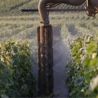 40 % des exploitations viticoles surdosent modérément les pesticides et 10 % surdosent fortement.